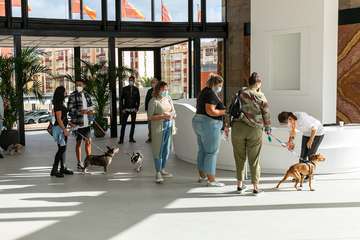 La V edición de Animundo pone el foco en la educación y el cuidado de los animales de compañía/TA.